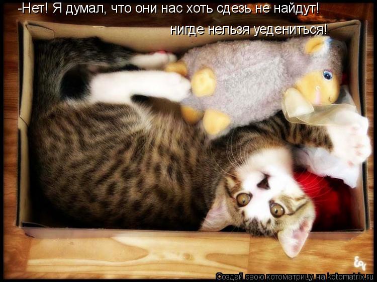 -Нет! Я думал, что они нас хоть сдезь не найдут! нигде нельзя уедениться!... Котоматрица: -Нет! Я думал, что они нас хоть сдезь не найдут! нигде нельзя уедениться!
