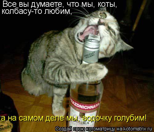 Все вы думаете, что мы, коты, колбасу-то любим, а на самом деле мы, водочку голубим!... Котоматрица: Все вы думаете, что мы, коты, колбасу-то любим, а на самом деле мы, водочку голубим!