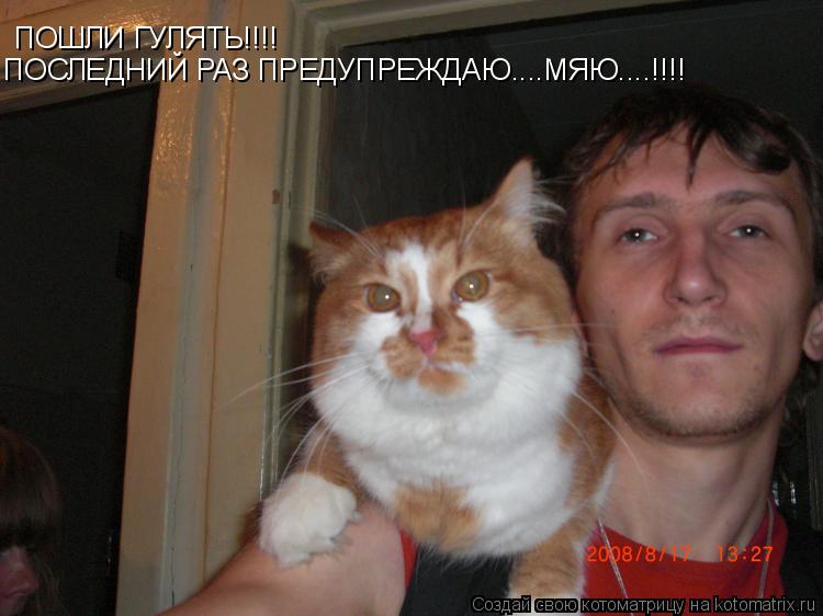 ПОШЛИ ГУЛЯТЬ!!!! ПОСЛЕДНИЙ РАЗ ПРЕДУПРЕЖДАЮ....МЯЮ....!!!!... Котоматрица: ПОШЛИ ГУЛЯТЬ!!!! ПОСЛЕДНИЙ РАЗ ПРЕДУПРЕЖДАЮ....МЯЮ....!!!!