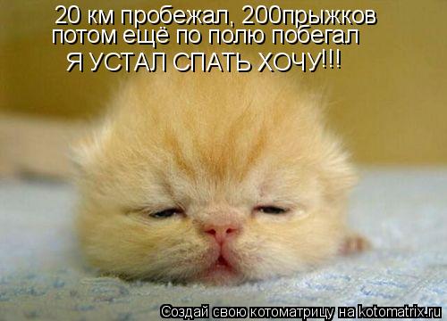 20 км пробежал, 200прыжков потом ещё по полю побегал Я УСТАЛ СПАТЬ ХОЧУ !!!... Котоматрица: 20 км пробежал, 200прыжков потом ещё по полю побегал Я УСТАЛ СПАТЬ ХОЧУ !!!