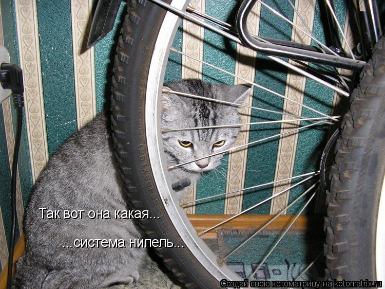 Так вот она какая... ...система нипель...... Котоматрица: Так вот она какая... ...система нипель...