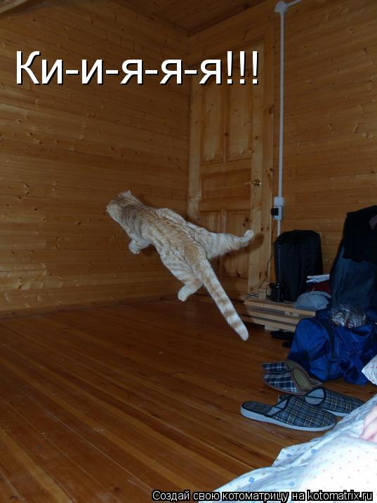 Ки-и-я-я-я!!!... Котоматрица: Ки-и-я-я-я!!!