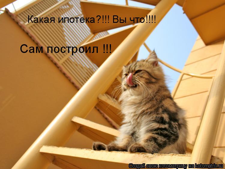 Котоматрица: Какая ипотека?!!! Вы что!!!! Сам построил !!!