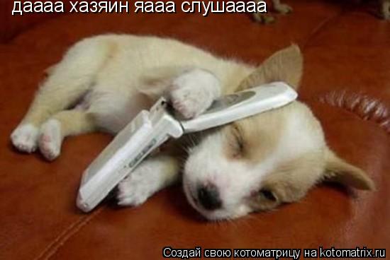 даааа хазяин яааа слушаааа... Котоматрица: даааа хазяин яааа слушаааа
