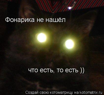 Фонарика не нашёл что есть, то есть ))... Котоматрица: Фонарика не нашёл что есть, то есть ))