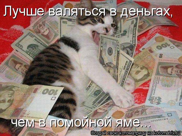 Лучше валяться в деньгах, чем в помойной яме...... Котоматрица: Лучше валяться в деньгах, чем в помойной яме...