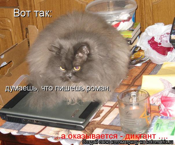 Вот так: думаешь, что пишешь роман, ...а оказывается - диктант ....... Котоматрица: Вот так: думаешь, что пишешь роман, ...а оказывается - диктант ....
