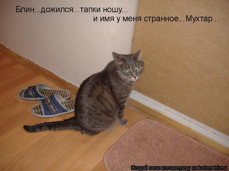 Блин...дожился...тапки ношу... и имя у меня странное...Мухтар...... Котоматрица: Блин...дожился...тапки ношу... и имя у меня странное...Мухтар...