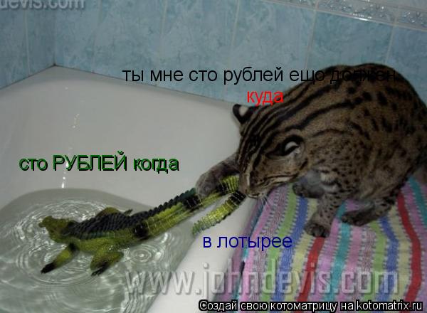 куда ты мне сто рублей ещо должен сто РУБЛЕЙ когда в лотырее... Котоматрица: куда ты мне сто рублей ещо должен сто РУБЛЕЙ когда в лотырее