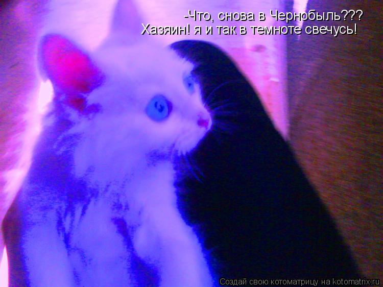 -Что, снова в Чернобыль??? Хазяин! я и так в темноте свечусь!... Котоматрица: -Что, снова в Чернобыль??? Хазяин! я и так в темноте свечусь!