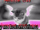 Ангелом стал Ангелом стал Ангелом стал красавец... Котоматрица: Ангелом стал Ангелом стал Ангелом стал красавец