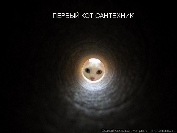 Котоматрица: ПЕРВЫЙ КОТ САНТЕXНИК