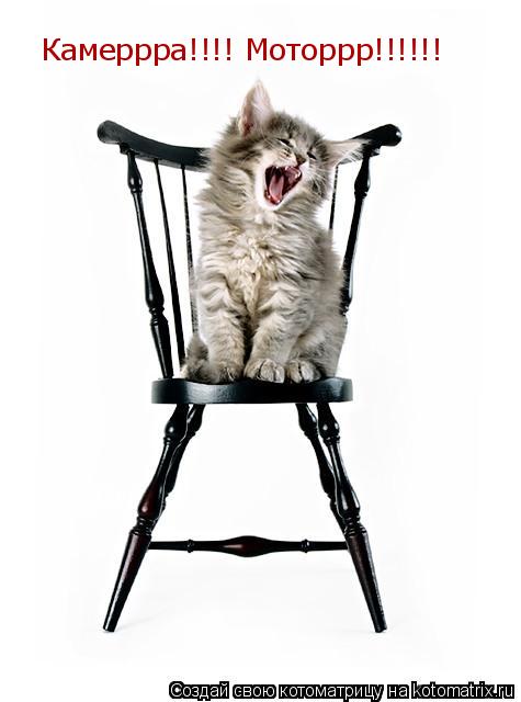 Камеррра!!!! Моторрр!!!!!!... Котоматрица: Камеррра!!!! Моторрр!!!!!!