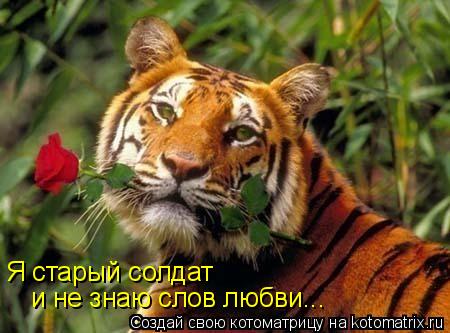 Я старый солдат и не знаю слов любви...... Котоматрица: Я старый солдат и не знаю слов любви...