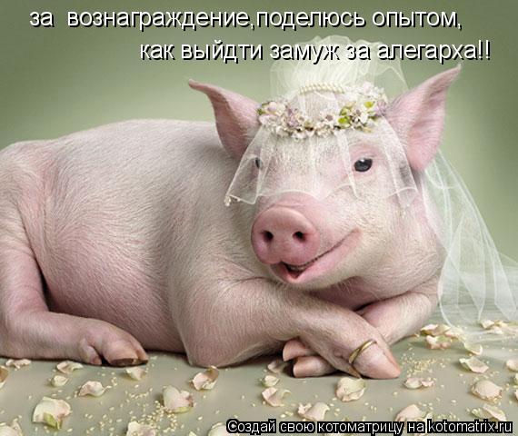 за вознаграждение,поделюсь опытом, как выйдти замуж за алегарха!!... Котоматрица: за вознаграждение,поделюсь опытом, как выйдти замуж за алегарха!!