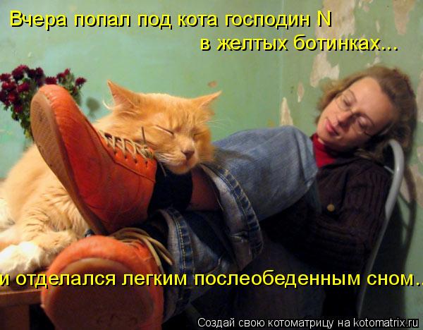 Вчера попал под кота господин N в желтых ботинках... и отделался легким послеобеденным сном...... Котоматрица: Вчера попал под кота господин N в желтых ботинках... и отделался легким послеобеденным сном...