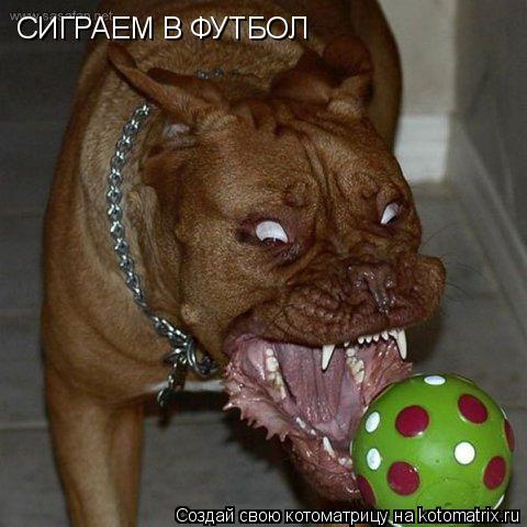 Котоматрица: СИГРАЕМ В ФУТБОЛ