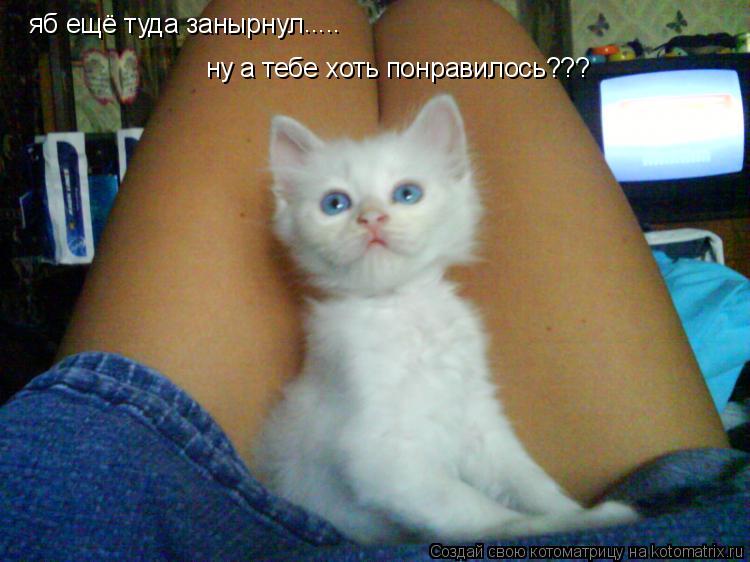яб ещё туда занырнул ..... ну а тебе хоть понравилось???... Котоматрица: яб ещё туда занырнул ..... ну а тебе хоть понравилось???