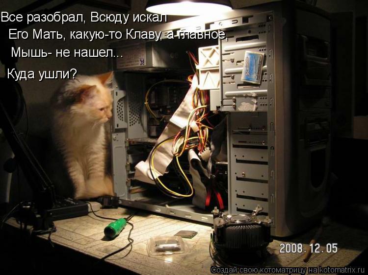 Мышь- не нашел... Куда ушли? Все разобрал, Всюду искал Его Мать, какую-то Клаву, а главное,... Котоматрица: Мышь- не нашел... Куда ушли? Все разобрал, Всюду искал Его Мать, какую-то Клаву, а главное,