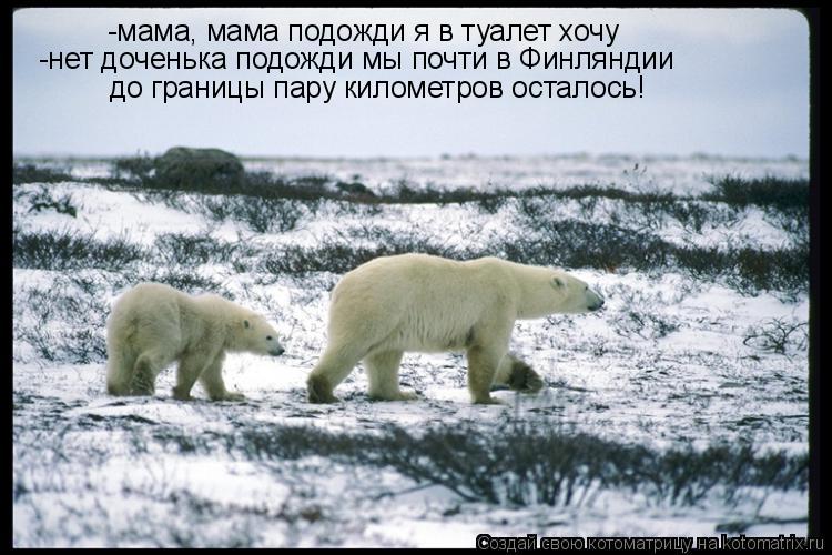 -мама, мама подожди я в туалет хочу -нет доченька подожди мы почти в Финляндии до границы пару киломе... Котоматрица: -мама, мама подожди я в туалет хочу -нет доченька подожди мы почти в Финляндии до границы пару километров осталось!