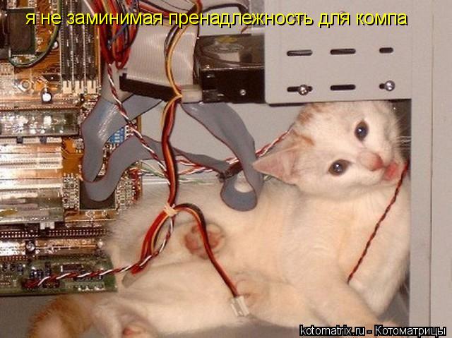 я не заминимая пренадлежность для компа... Котоматрица: я не заминимая пренадлежность для компа