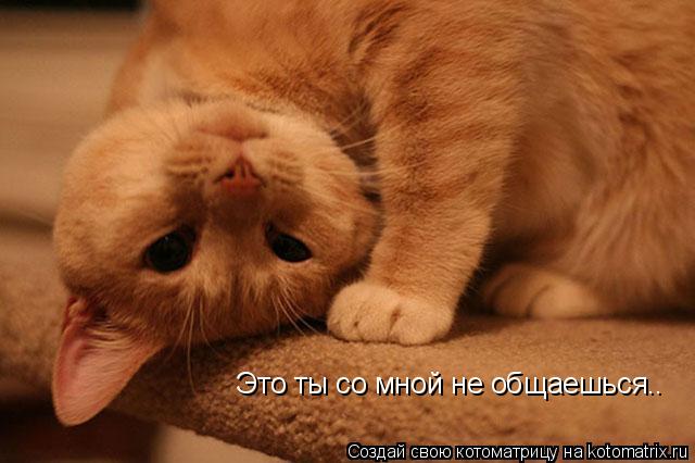 Это ты со мной не общаешься..... Котоматрица: Это ты со мной не общаешься..