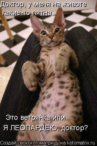 Доктор, у меня на животе какие-то пятна.. Я ЛЕОПАРДЕЮ, доктор? Это ветрянка или... Котоматрица: Доктор, у меня на животе какие-то пятна.. Я ЛЕОПАРДЕЮ, доктор? Это ветрянка или