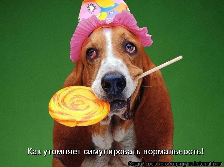 Как утомляет симулировать нормальность!... Котоматрица: Как утомляет симулировать нормальность!
