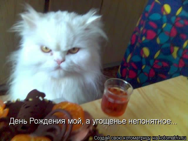 День Рождения мой, а угощенье непонятное...... Котоматрица: День Рождения мой, а угощенье непонятное...