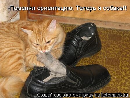 -Поменял ориентацию. Теперь я собака!!... Котоматрица: -Поменял ориентацию. Теперь я собака!!