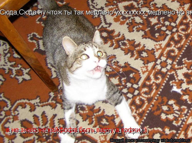Сюда,Сюда ну чтож ты так медлено ухххххххх медлено но вкусно! =) Сюда,Сюда ну чтож ты так медлено ухх... Котоматрица: Сюда,Сюда ну чтож ты так медлено ухххххххх медлено но вкусно! =) Сюда,Сюда ну чтож ты так медлено ухххххххх медлено но вкусно! =) а не знаю не к