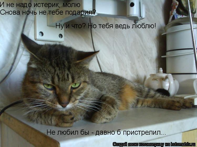 И не надо истерик, молю Снова ночь не тебе подарил? Ну и что? Но тебя ведь люблю! Не любил бы - давно... Котоматрица: И не надо истерик, молю Снова ночь не тебе подарил? Ну и что? Но тебя ведь люблю! Не любил бы - давно б пристрелил...