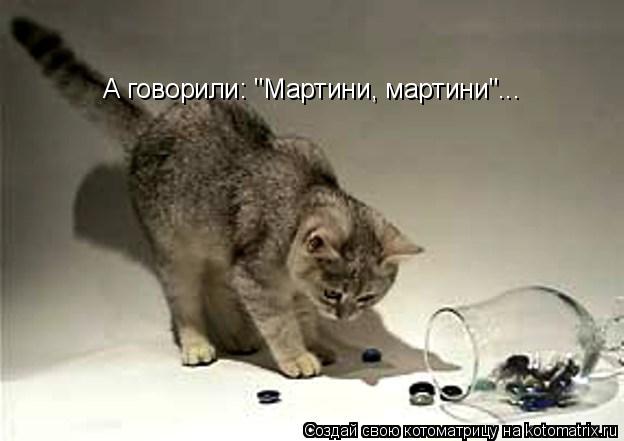 А говорили: "Мартини, мартини"...... Котоматрица: А говорили: "Мартини, мартини"...