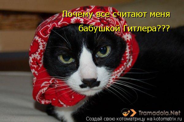 Почему все считают меня бабушкой Гитлера???... Котоматрица: Почему все считают меня бабушкой Гитлера???