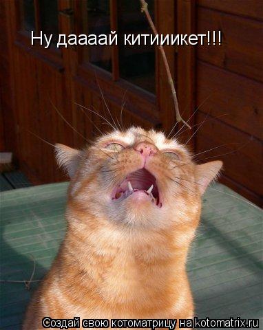 Ну даааай китииикет!!!... Котоматрица: Ну даааай китииикет!!!