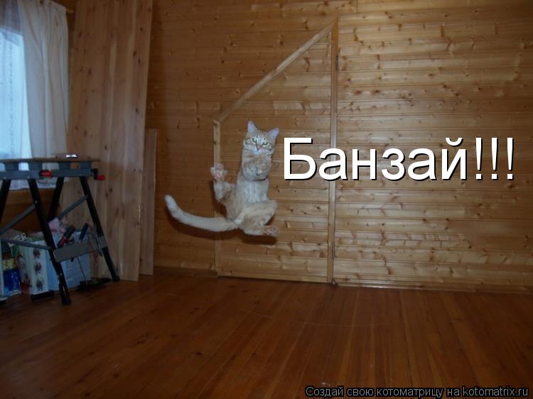 Банзай!!!... Котоматрица: Банзай!!!