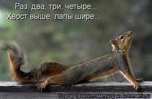 Раз, два, три, четыре... Хвост выше, лапы шире...... Котоматрица: Раз, два, три, четыре... Хвост выше, лапы шире...