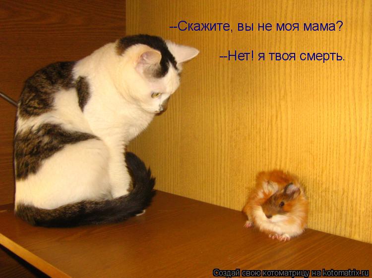 --Скажите, вы не моя мама? --Нет! я твоя смерть.... Котоматрица: --Скажите, вы не моя мама? --Нет! я твоя смерть.