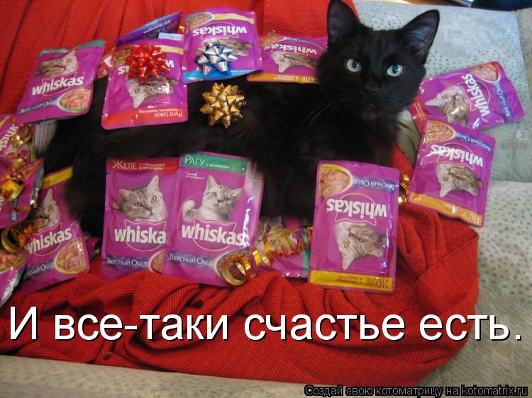 И все-таки счастье есть.... Котоматрица: И все-таки счастье есть.