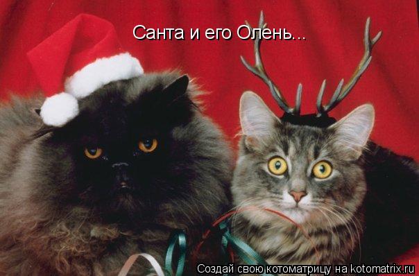 Санта и его Олень...... Котоматрица: Санта и его Олень...
