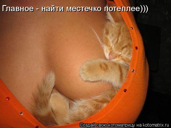 Главное - найти местечко потеплее)))... Котоматрица: Главное - найти местечко потеплее)))