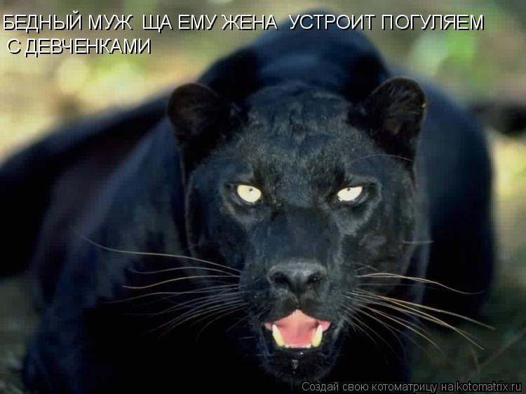 БЕДНЫЙ МУЖ ЩА ЕМУ ЖЕНА УСТРОИТ ПОГУЛЯЕМ С ДЕВЧЕНКАMИ... Котоматрица: БЕДНЫЙ МУЖ ЩА ЕМУ ЖЕНА УСТРОИТ ПОГУЛЯЕМ С ДЕВЧЕНКАMИ