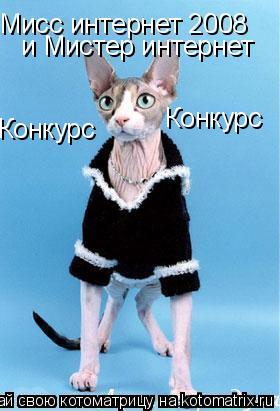 и Мистер интернет Конкурс Конкурс... Котоматрица: и Мистер интернет Конкурс Конкурс