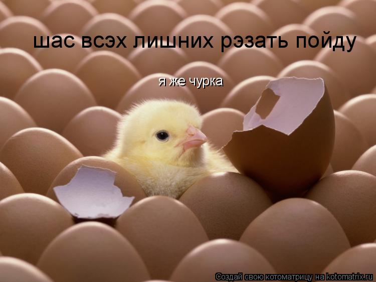 шас всэх лишних рэзать пойду я же чурка... Котоматрица: шас всэх лишних рэзать пойду я же чурка