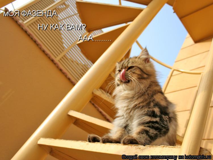 мОЯ ФАЗЕНДА НУ КАК ВАМ? ААА............ Котоматрица: мОЯ ФАЗЕНДА НУ КАК ВАМ? ААА.........