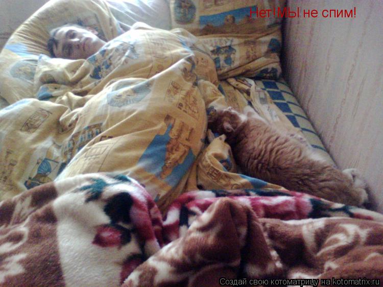 Нет!МЫ не спим!... Котоматрица: Нет!МЫ не спим!