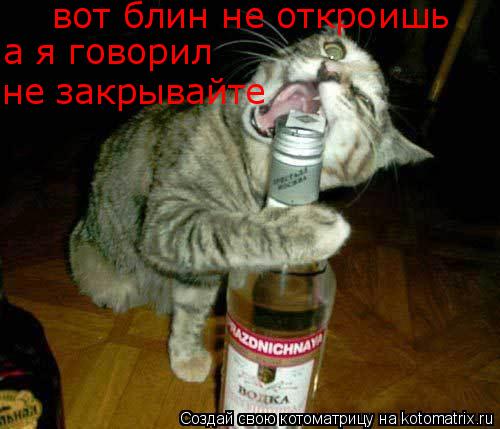 вот блин не откроишь а я говорил не закрывайте... Котоматрица: вот блин не откроишь а я говорил не закрывайте