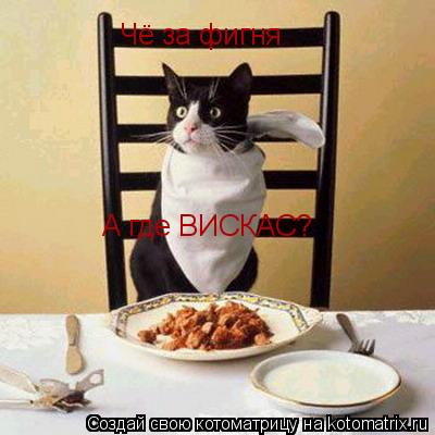 Чё за фигня А где ВИСКАС?... Котоматрица: Чё за фигня А где ВИСКАС?