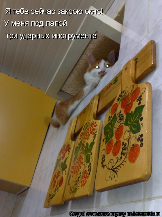 Я тебе сейчас закрою окно! У меня под лапой три ударных инструмента... Котоматрица: Я тебе сейчас закрою окно! У меня под лапой три ударных инструмента