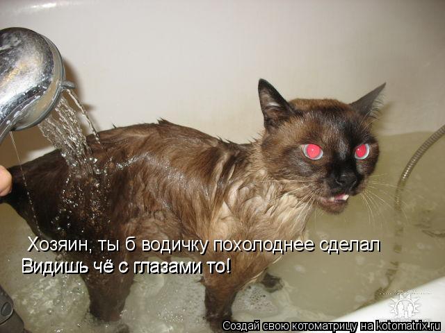Хозяин, ты б водичку похолоднее сделал Видишь чё с глазами то! Видишь чё с глазами то!... Котоматрица: Хозяин, ты б водичку похолоднее сделал Видишь чё с глазами то! Видишь чё с глазами то!